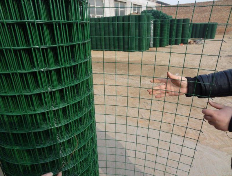 PVC Coated Euro Fence in Good Quality