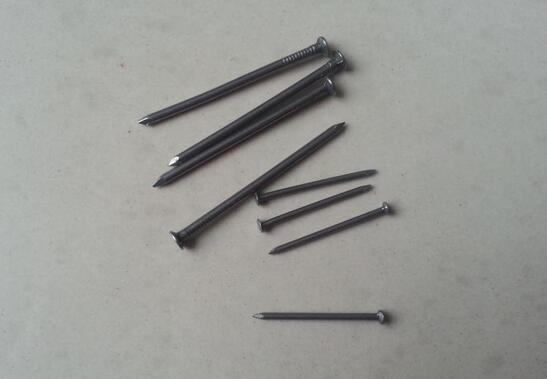 High Quality Galvanized Steel Concrete Nails