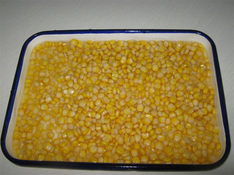 425g Canned Golden Sweet Kernel Corn with Best Quality