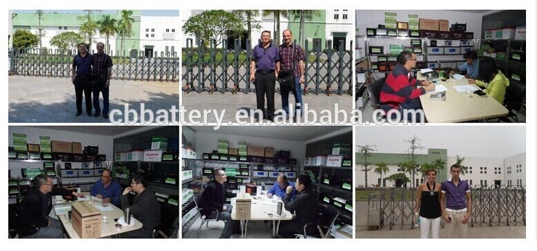 Hot Sale 12V250ah Lead Acid Battery Nps250-12 Solar Power Battery