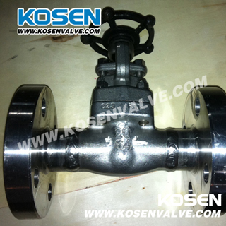 Stainless Steel Flanged Ends Gate Valves (Z41)