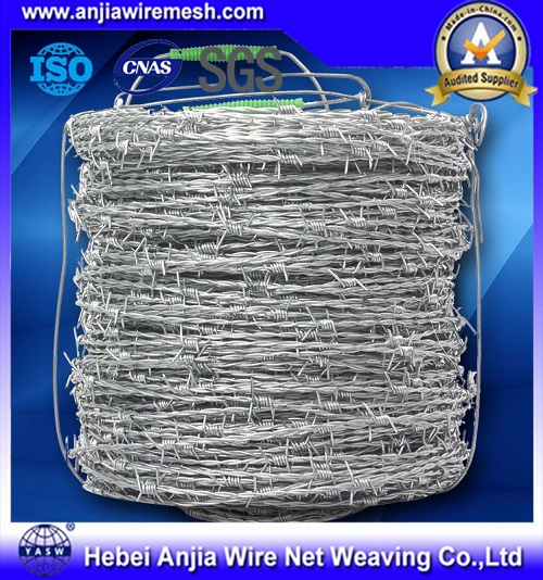 CE & SGS Galvanized Barbed Wire for Fence