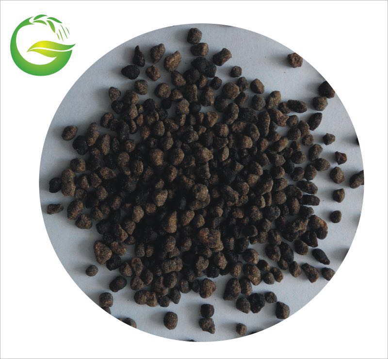 Qingdao Future Group Amino Acid Granular NPK Fertilizer