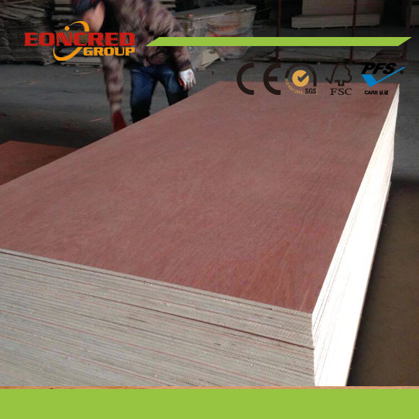 Bintangor/Pine/Poplar/Birch/Okoume/Pencil Cedar Veneer Plywood for Furniture