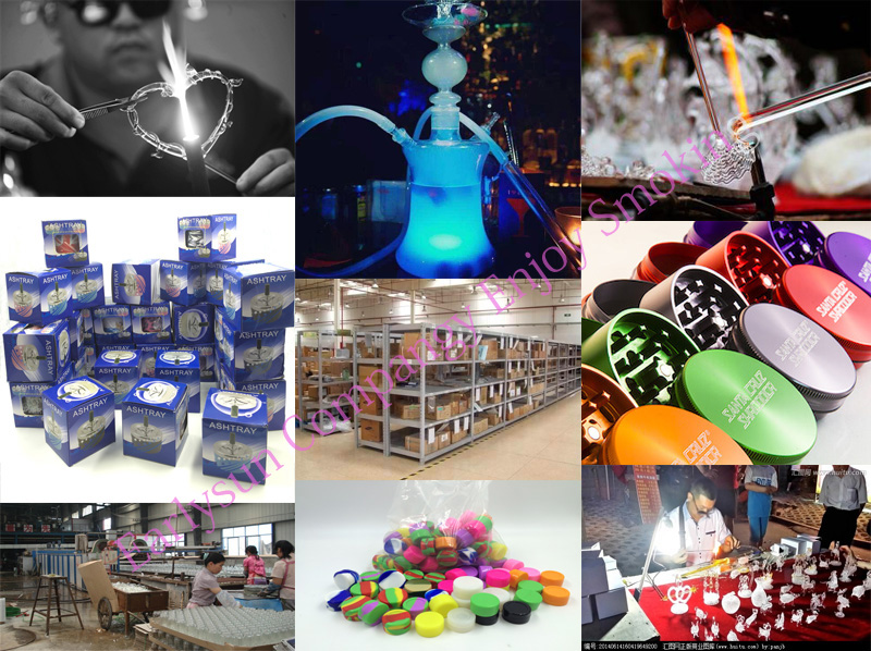 Mini Portable Plastic Bottle Hookah Shisha with Whole Accessories (ES-HS-004)