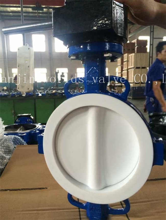 Full PTFE Coating Wafer Type Butterfly Valve with Ce ISO Wras Approved (CBF04-TA01)