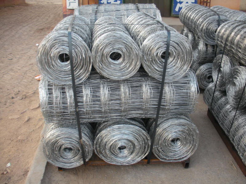 Cheap Hot Sale Hot-Dipped Galvanized Field Fence (Factory Price and ISO9001-2008)