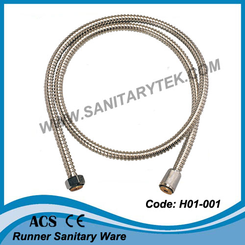 Stainless Steel Shower Hose (H01-003)