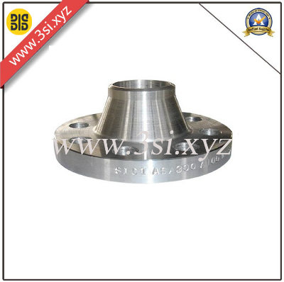 Stainless Steel Welding Neck Flange (YZF-046)
