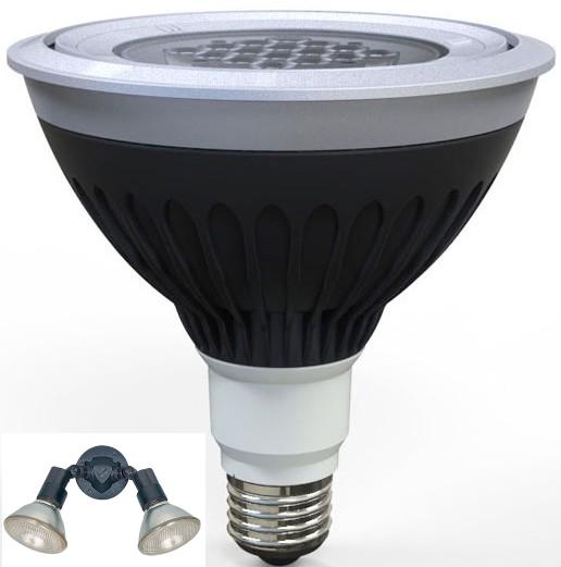 20W RGB Waterproof PAR38 of LED Spotlight with IP67