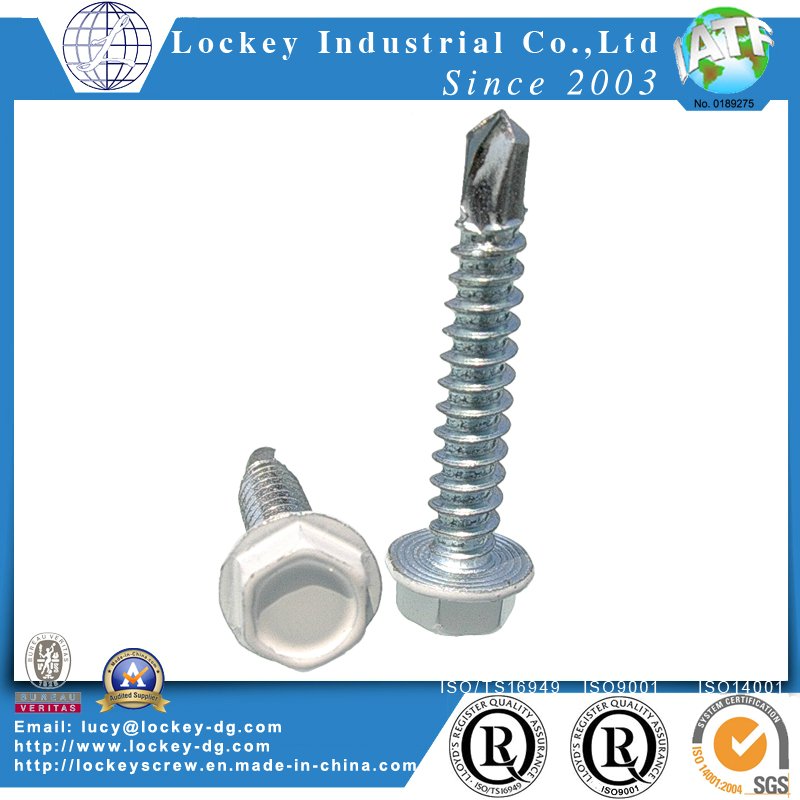 Hex Washer Head Self Drilling Screw Tek Screw