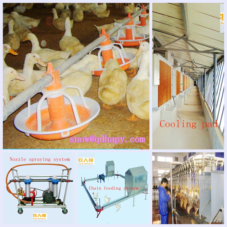 Poultry Farm Equipment with Good Quality in Hot Sale