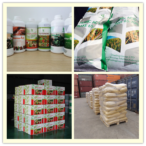 Plant Origin Amino Acid Powder 80% Organic Fertilizer, Free Amino Acid 80%, No Chloride, No Salt