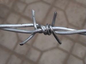 Positive and Negative Twist Barbed Wire