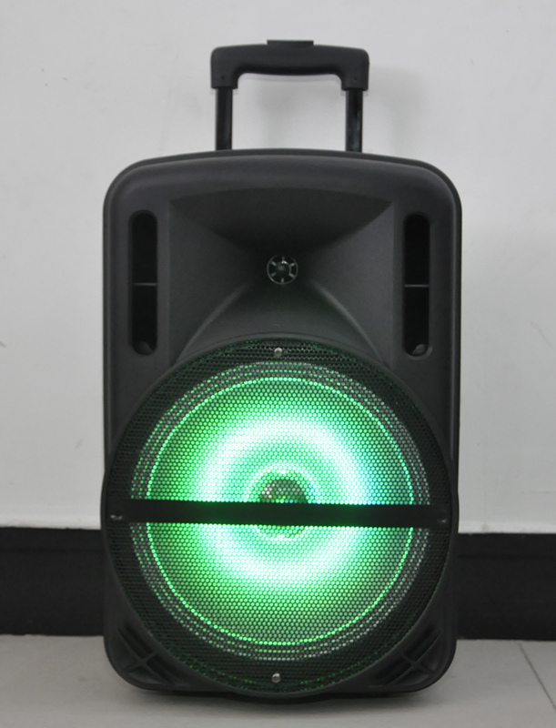 12 Inch Speaker with FM Remote Wireless Microphone Bluetooth F12-1