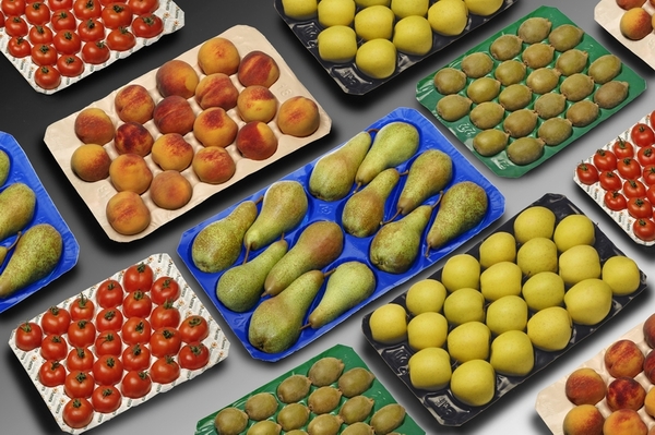 Supermarket Display Stackable Fruit and Vegetable Plastic Packing Tray