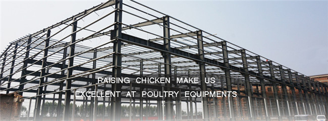 China Famous Factory Tianrui Design Morden Chicken Farm Structures
