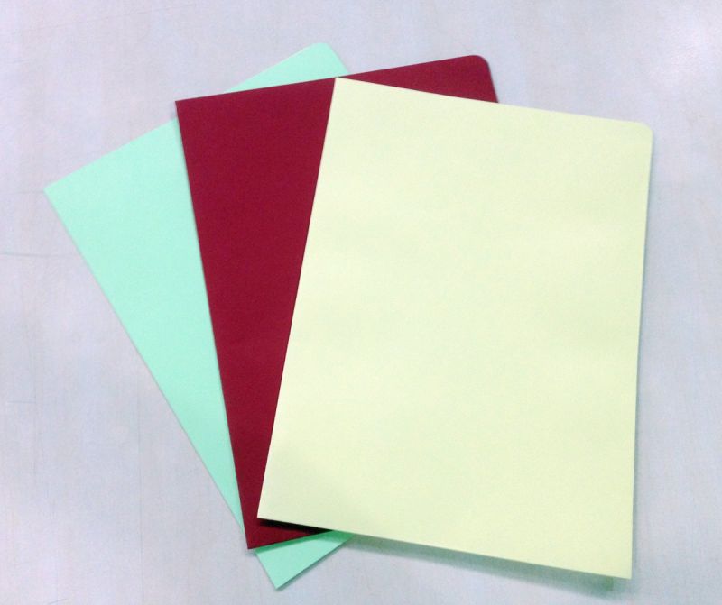 Color Paper File Folder (Fl102)