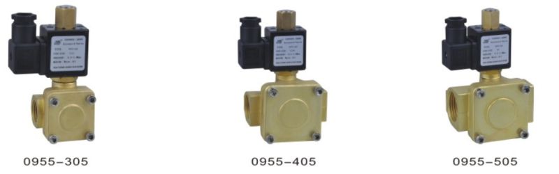 Gas/Water Solenoid Valve