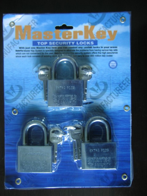 Steel Padlock with Master Key Lock (AL-40, AL-50)