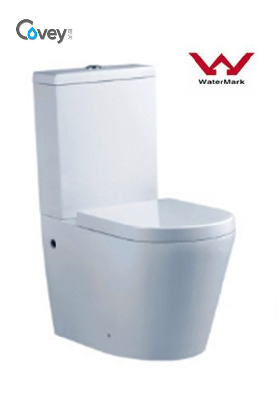 Bathroom Water Colset/Washdown Toilet P-Trap with Ce (A-2057)