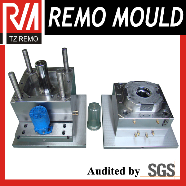 RM0301069 Plastic Injection Water Filter Mould