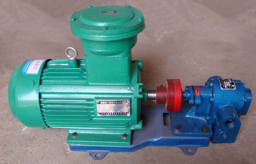 Stainless Steel Heat Insulation Gear Pump