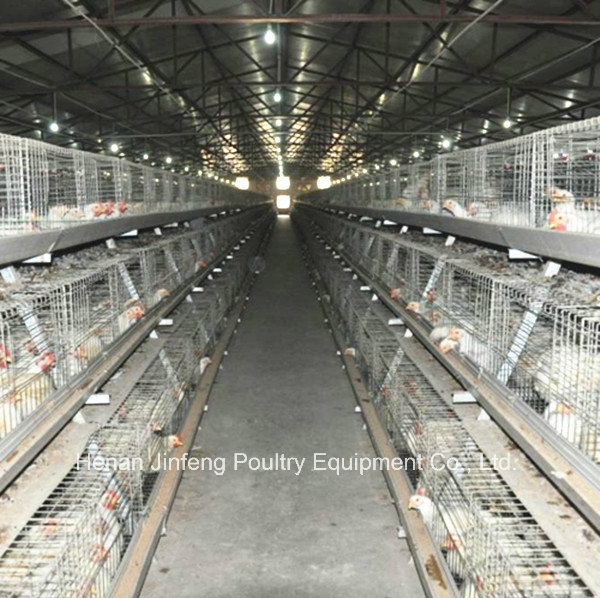 a & H Type Poultry Frame Equipment for Chicken Birds Farm