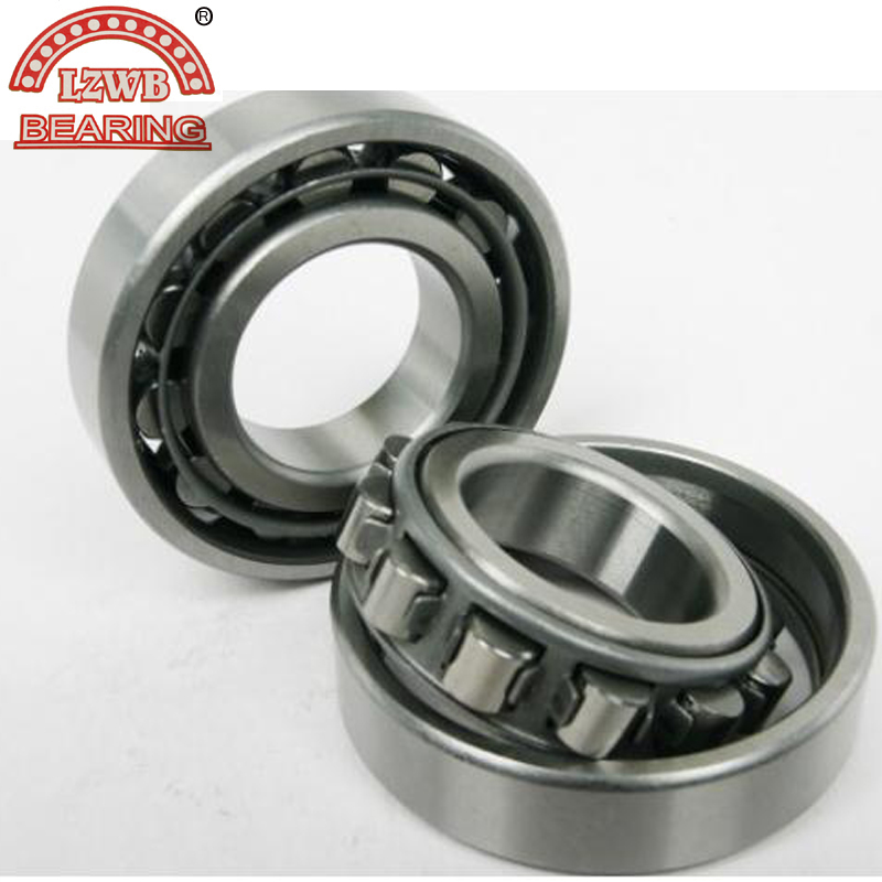 Auto Bearing of Cylindrical Roller Bearing (NJ 222 EM)