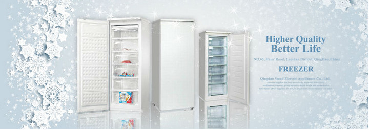 Single Reversible Door Fast Freezing Upright Freezer