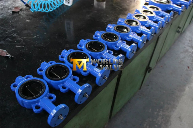 Rubber Coated Wafer Butterfly Valve