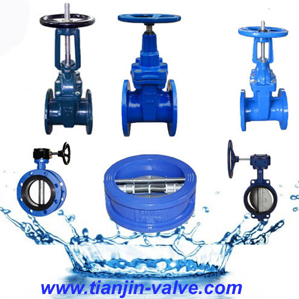 ANSI Standard Rising Stem Resililent Gate Valve