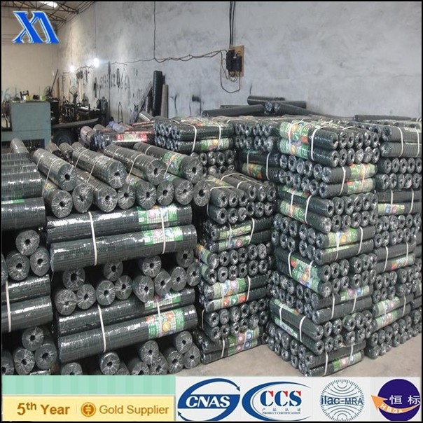 Green PVC Rock Retaining Wall Hexagonal Wire Mesh (XA-HM411)