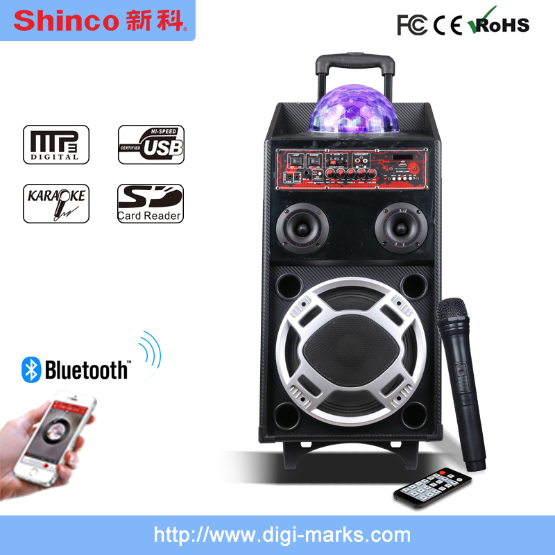 Hot Sale Karaoke Portable with Bluetooth and FM Speaker