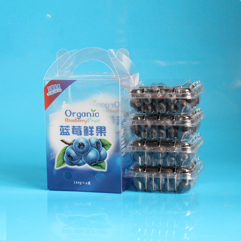 Factory Wholesale Custom Printing Plastic Fruit Packing Box (Vegetable bag)