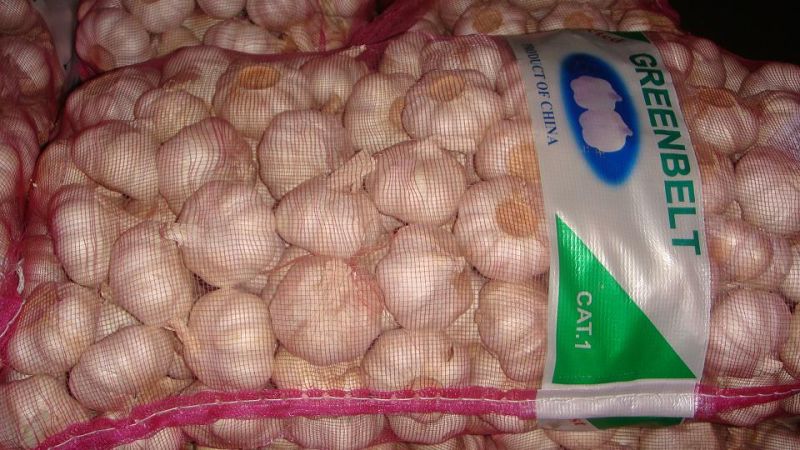 Carton Packing Normal White Garlic (5.0cm and up)