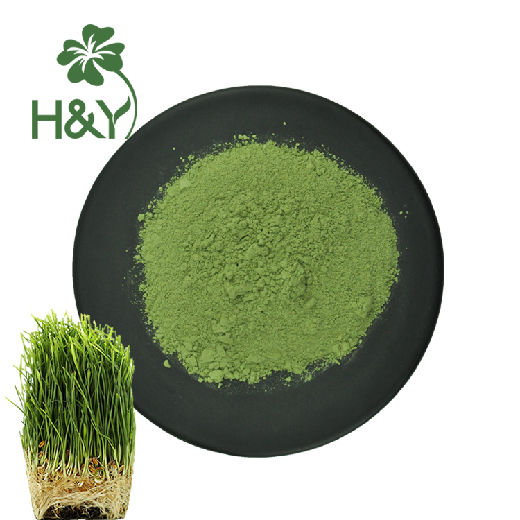 wheat grass powder