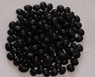 New Crop for Exporting Black Kidney Bean