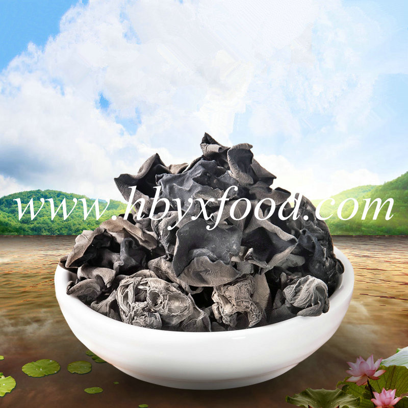 Cheapest Green Organic Healthy Food Black Fungus Vegetable