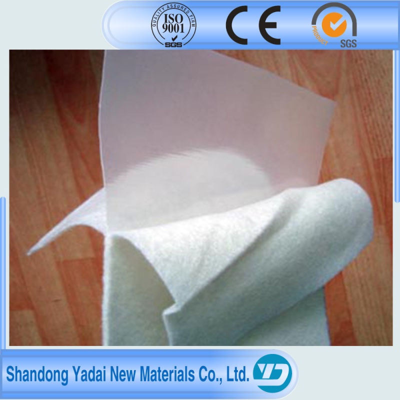 Waterproof HDPE Geomembrane Geotextile a Cloth a Film for Hydraulic Engineering