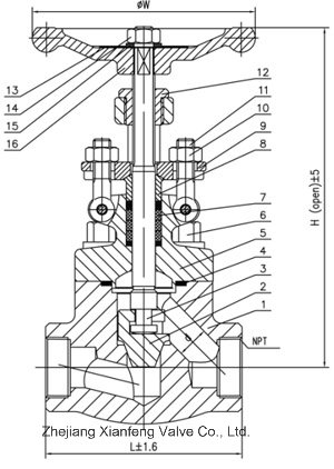 ANSI/API602 High Pressure Forged Carbon Steel Flange/Flanged/Welding/Thread End Globe Valve