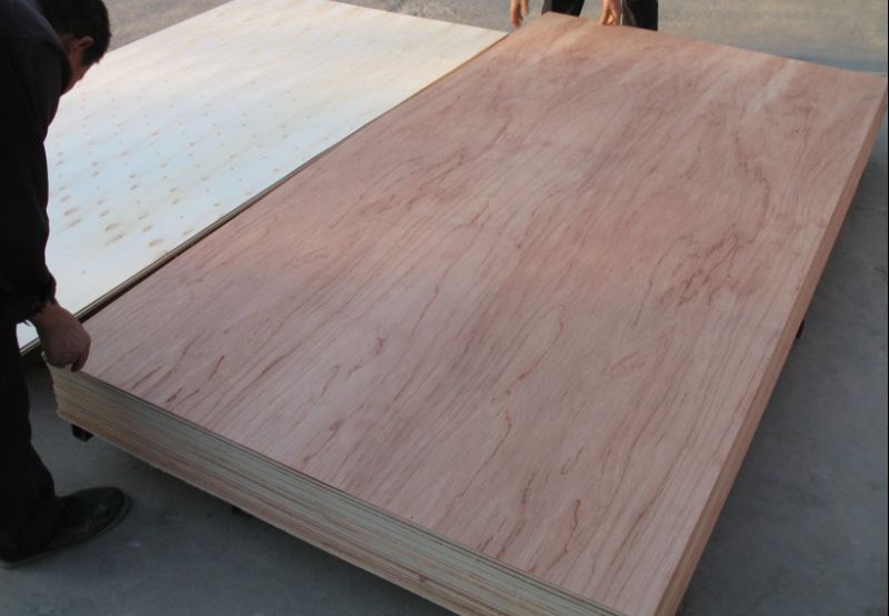 Hardwood Core/Poplar Core/Combi Core Plywood