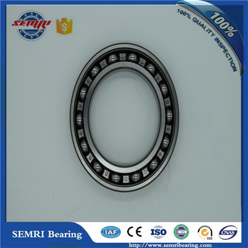 All Type of Deep Groove Ball Bearing (6224) Tfn Brand Bearing