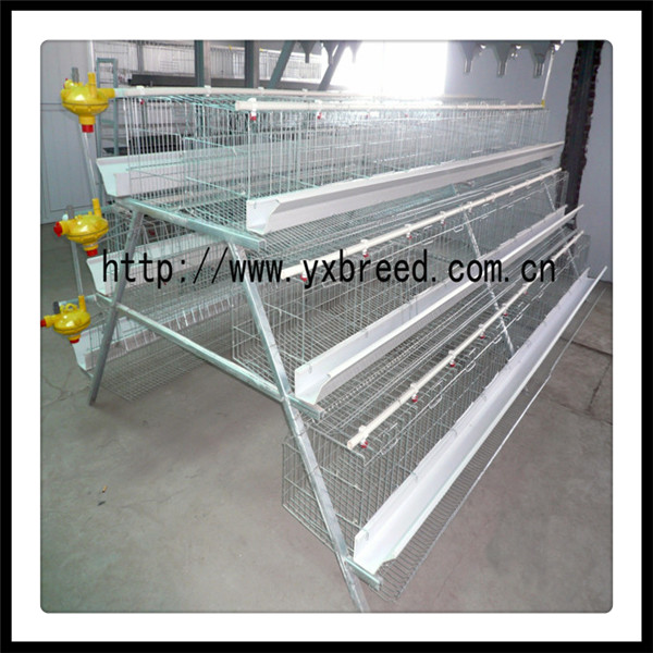 Laying Chicken Battery Cage (A3L90)