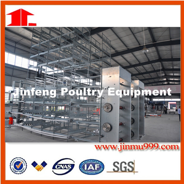 Automatic Feeding Machine for Chicken