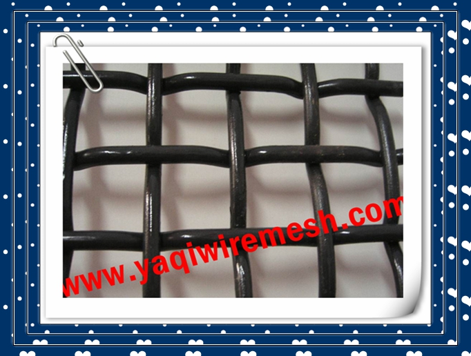 China Best Price Crimped Iron Wire Mesh High Quality Best Price