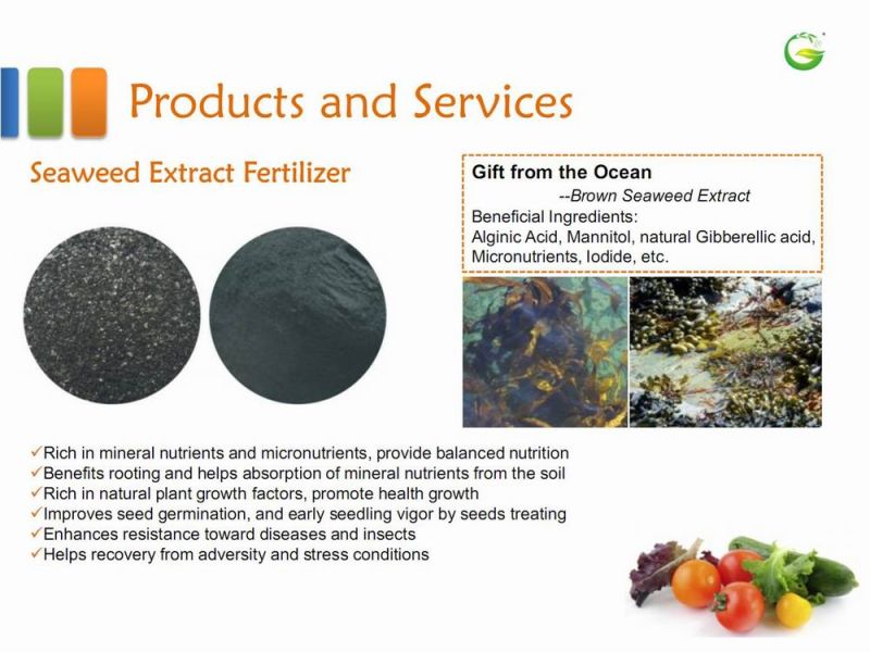 Bio Organic Seaweed Extract Fertilizer