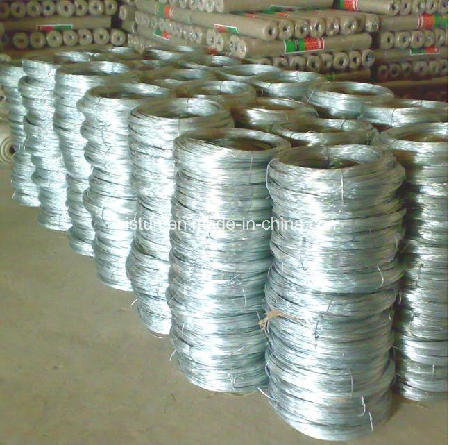 0.25mm-5.0mm Hot Dipped Electro Galvanized Wire (ISO9001: 2000)