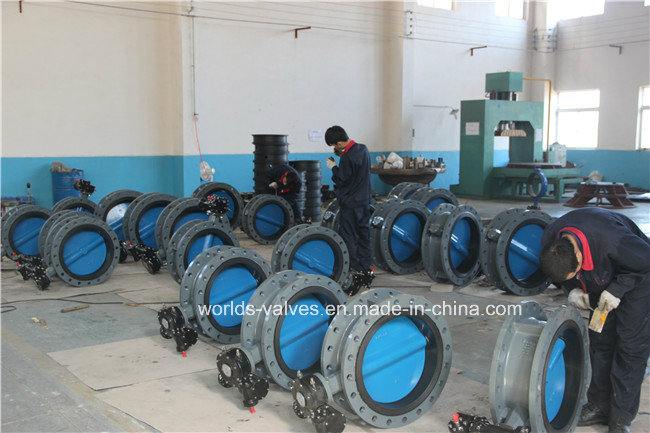 D41X Double Flange Butterfly Valve with Painting Disc