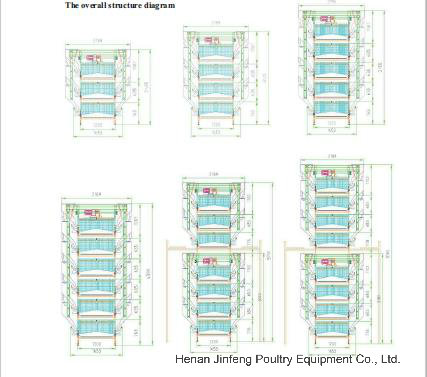 H Type Automatic Layer Chicken Poultry Equipment with Best Price